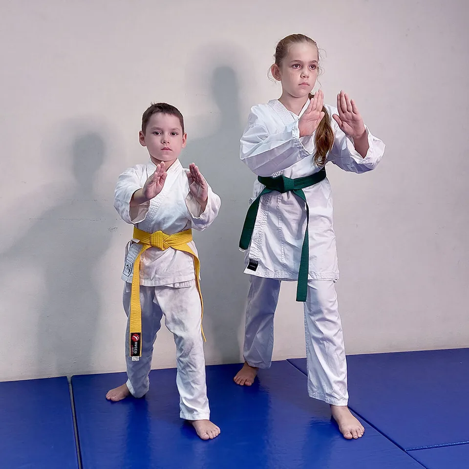 Прикладное Айкидо Динамика — фото